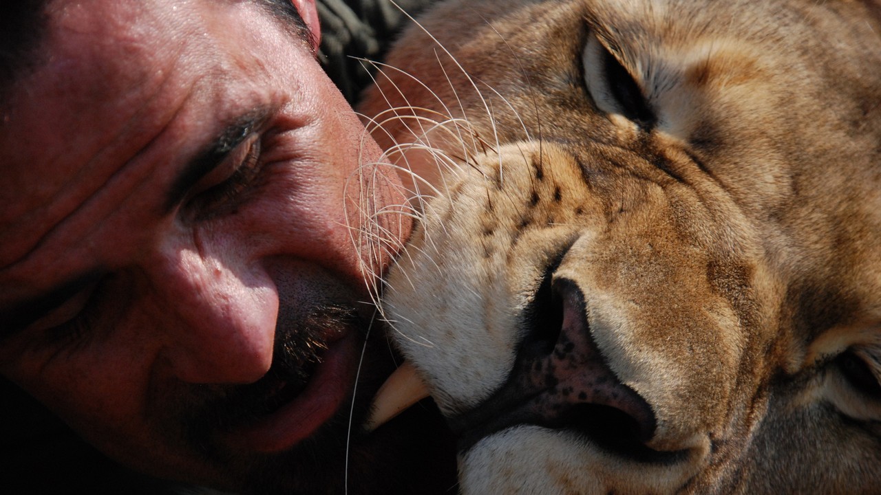 http://media.natgeotv.com/Shows/9838.jpg