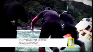 Aleja tajfunów wideo