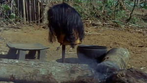 Réducteurs de têtes en Amazonie vidéo