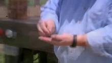 The Big Bang video