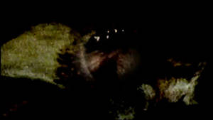 Gece video