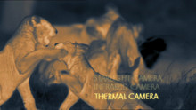 Night Vision video
