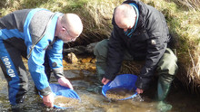 Tony finds gold! video