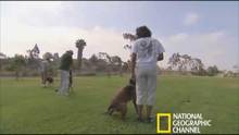 Troy und Roxy Video