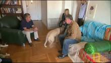 Curly und Baxter Video