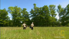 Chasing Monarchs video