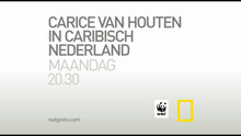 Promo Carice van Houten In Caribisch Nederland video
