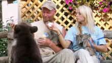 Ma vie est un zoo vidéo