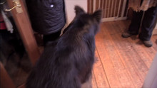 Harriet And Diesel video