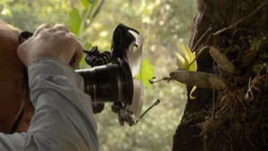 Photographes en mission vidéo
