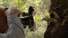Photographes en mission vidéo