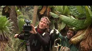 Rencontres des plus sauvages : les Goril... vidéo