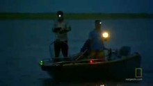 Caccia al buio video