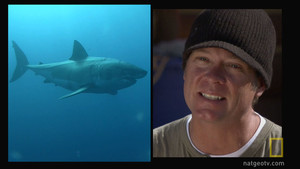 Malibu Shark Hunting video