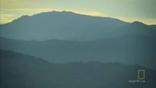 Sulle tracce dell'Orang Pendek video
