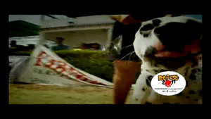 Petfest 2011 video