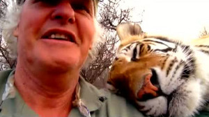 Ma vie avec les tigres vidéo