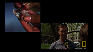On The Menu video
