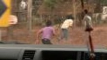 Crimes contre la nature vidéo
