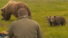 Ma vie avec les ours vidéo