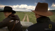 The Missing Tomb video