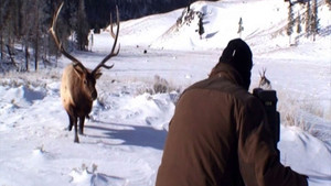 Rencontres des plus sauvages vidéo