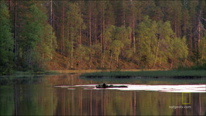 NordicWild_Reborn_1Intro_ video