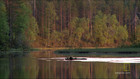 NordicWild_Reborn_1Intro_