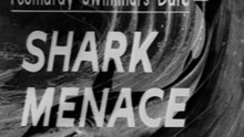 L'armée des requins vidéo