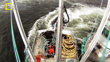 Flying Fish video