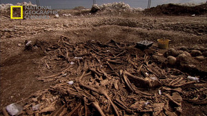 Mass Grave video