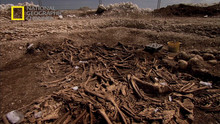 Mass Grave video