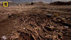 Mass Grave
