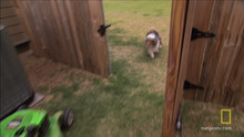 Army Brats video
