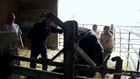 Untwisting a Cow Storm