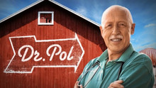 L'incroyable Dr Pol vidéo