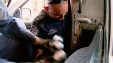 Drugs bust video
