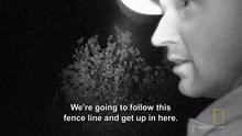 In the dark video