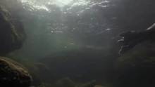 Sibirya Baykal Gölü video
