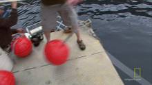 All about bait video