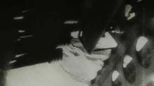 Der Zweite Weltkrieg - Apokalypse der Moderne Video