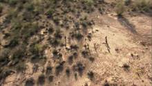 Webserie/Webisode: Blackhawck Video