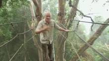Stich mich! Borneo 1 Video