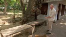 Stich mich! Indien (2 Minuten) Video