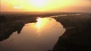 Africa: paradiso perduto video