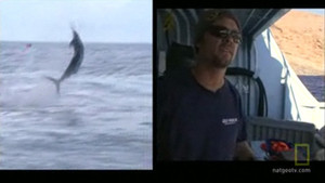 Les spécialistes de la pêche vidéo