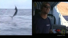 Les spécialistes de la pêche vidéo
