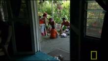 Cinsel Kimlik video