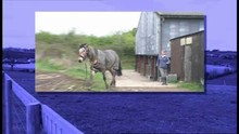 Episode 5 video