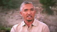 Cesar Millan Q&A part 1 video